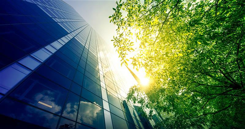 Building with plants captured from bottom angle